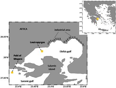 Metal complexation, FT-IR characterization, and plankton abundance in the marine surface microlayer of coastal areas in the Eastern Mediterranean